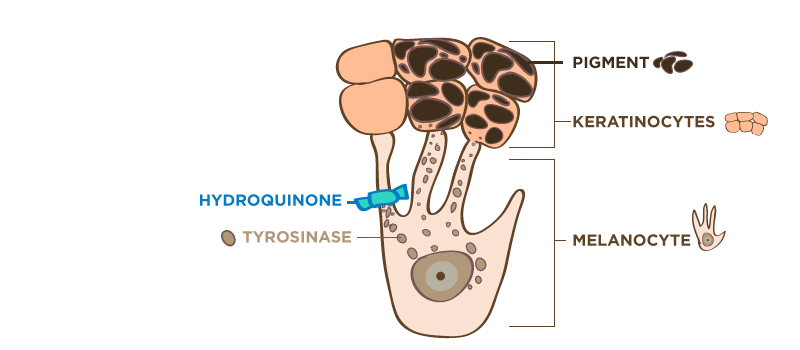 1 điều cần biết về hydroquinone là nên sử dụng với những chất khác