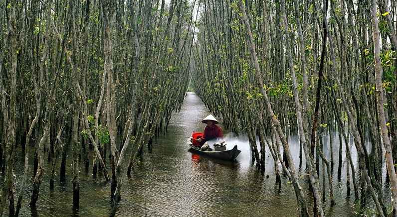 Cà Mau xuồng ghe không ngớt