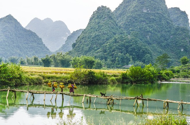 cầu tre ở thác Bản Giốc