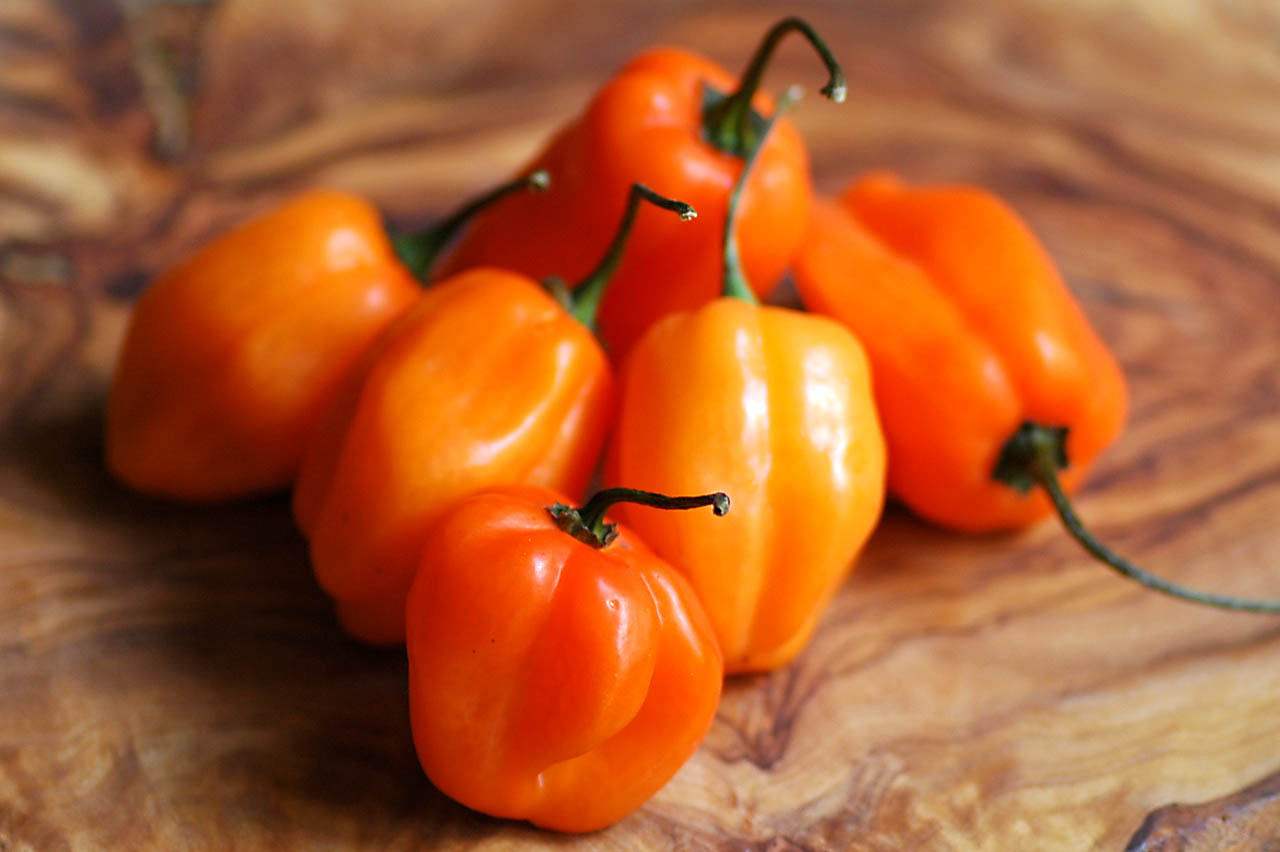 ớt habanero là thảo mộc có tác dụng mạnh hơn thuốc kháng sinh