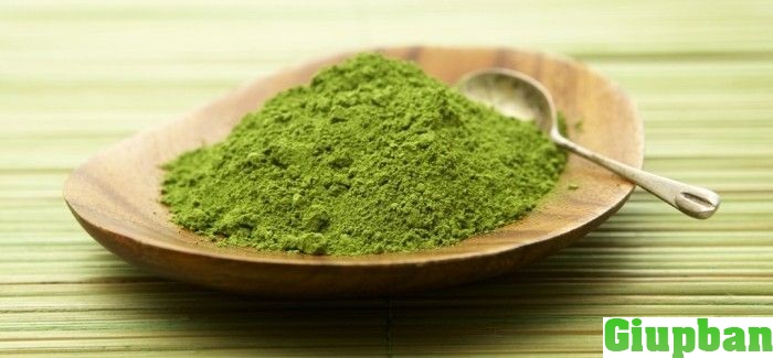 bột trà xanh matcha