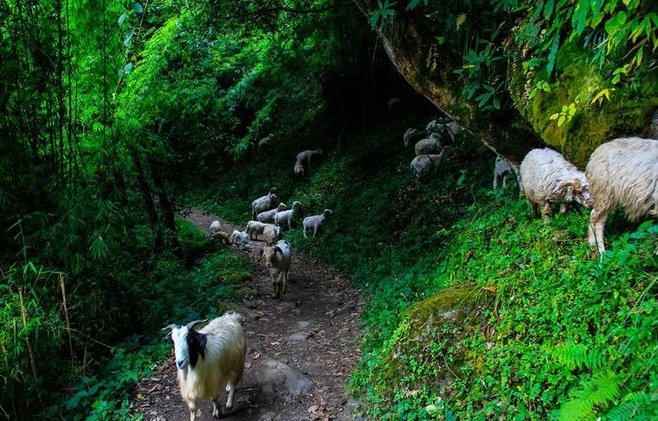 ngôi làng xinh đẹp trên dãy Himalaya