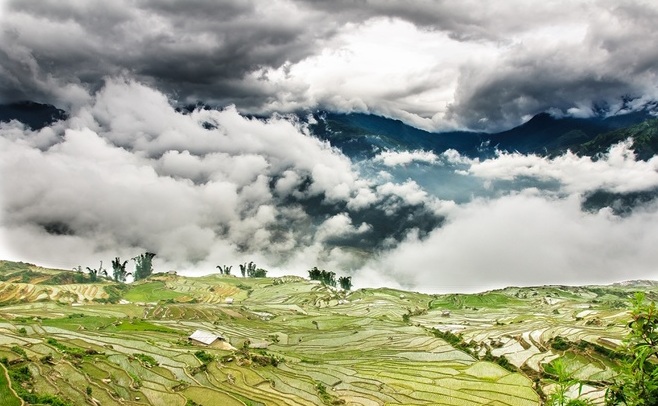 ruộng bậc thang nên thơ ở Tây Bắc