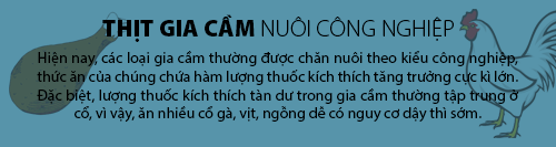 thịt nuôi công nghiệp