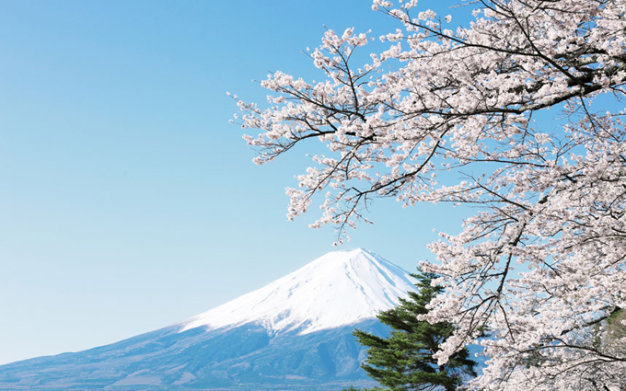 Tokyo là điểm đến lãng mạn trên thế giới bạn không nên bỏ qua