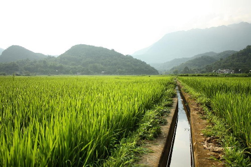 hình ảnh thung lũng xanh mai châu