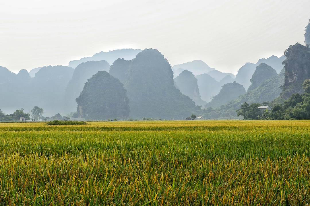 vẻ đẹp Tam Cốc