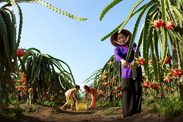 10-dia-diem-du-lich-ly-tuong-nhat-trong-thang-8-7