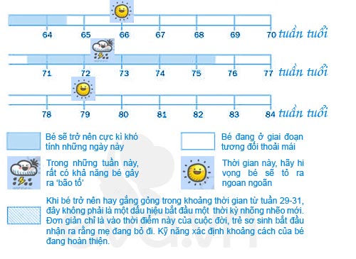 bang-du-bao-tuan-khung-hoang-cua-be-5