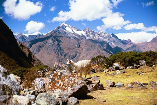 bat-mi-8-bi-mat-bat-ngo-cua-thanh-co-machu-picchu-6