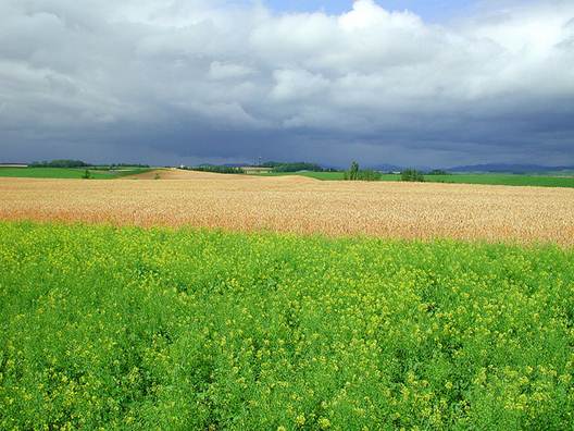 bi-an-vung-hokkaido-9