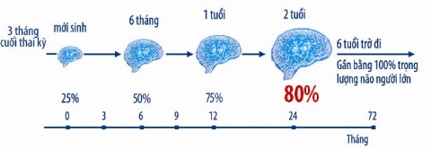 bi-mat-ve-tri-thong-minh-cua-tre-nho-2