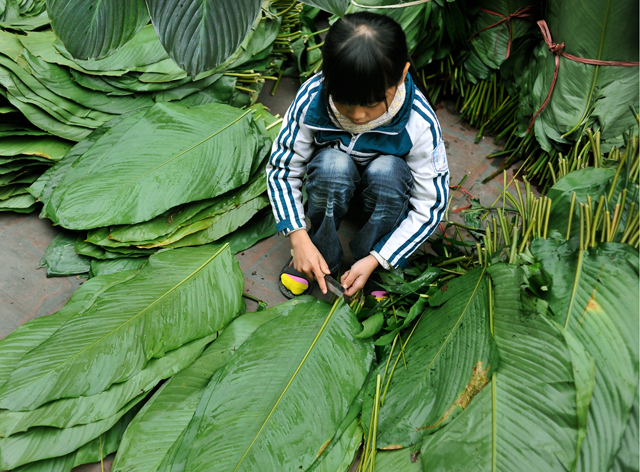 bi-quyet-lam-cho-banh-chung-xanh-tu-ngoai-vao-trong-ruot-banh-2