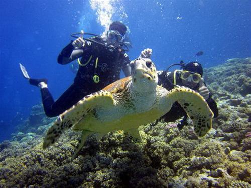 bocas-del-toro-thien-duong-o-panama-8