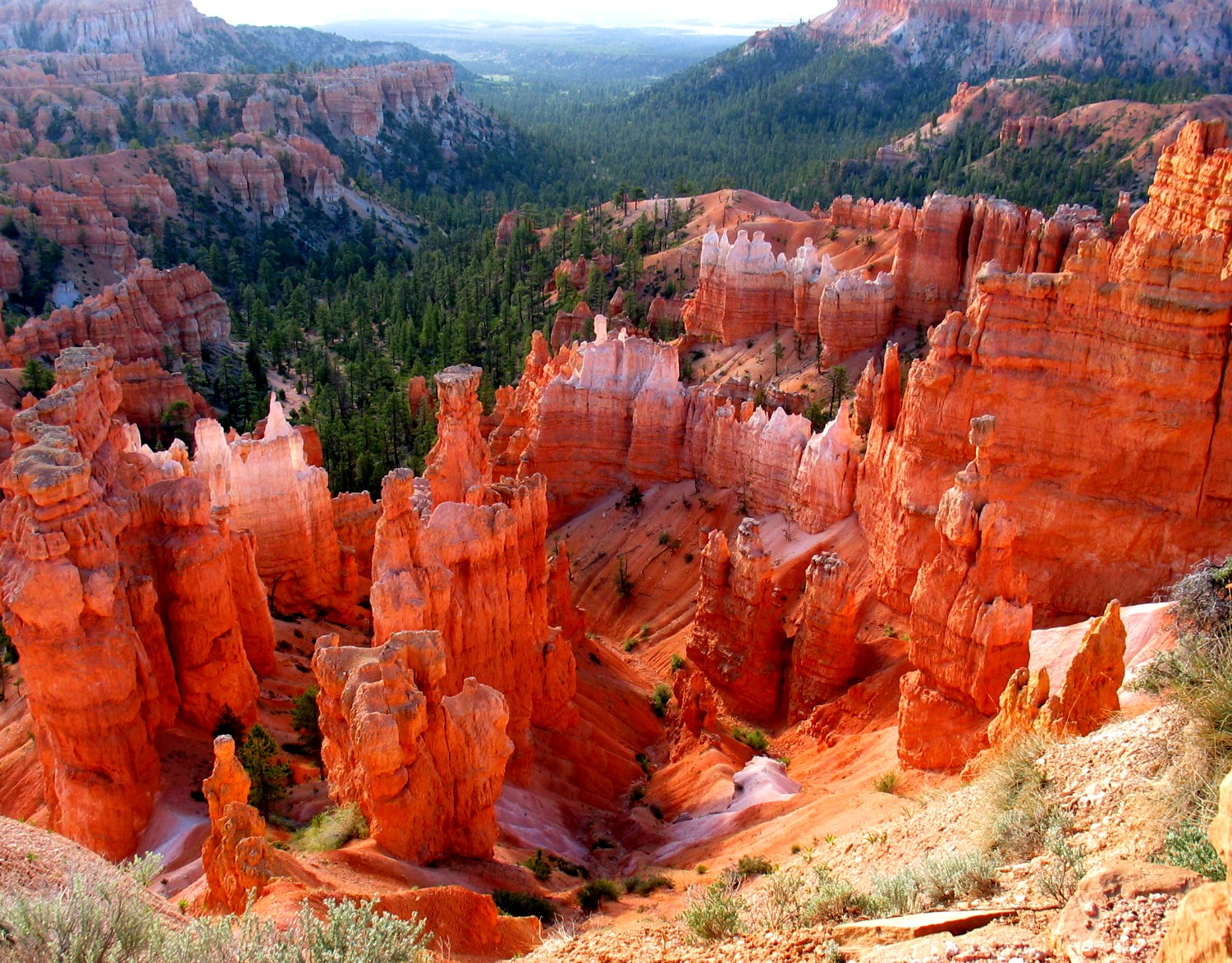 bryce-canyon-ky-bi-5