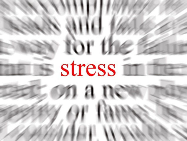 cac-meo-de-giam-stress-1