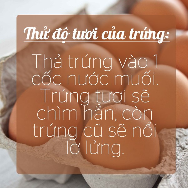 cac-meo-gia-dinh-tien-dung-voi-muoi-1