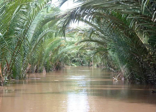 cam-nang-du-lich-bui-ben-tre-2