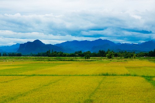 cam-nang-du-lich-bui-quang-binh-10