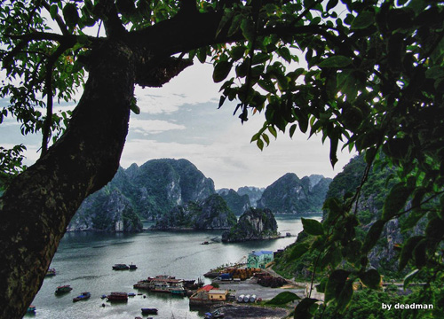 cam-nang-du-lich-bui-quang-ninh-14