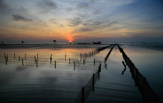 cam-nang-du-lich-bui-thai-binh-2