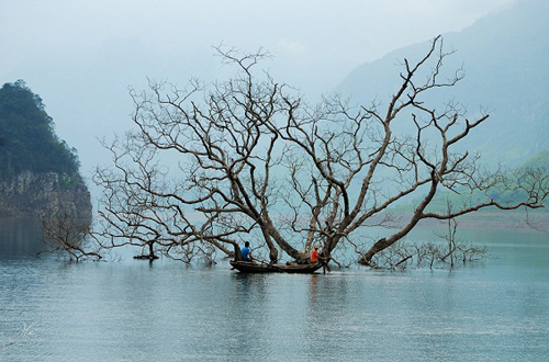 cam-nang-du-lich-bui-tuyen-quang-3