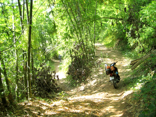 chinh-phuc-duong-tre-suoi-muong-1