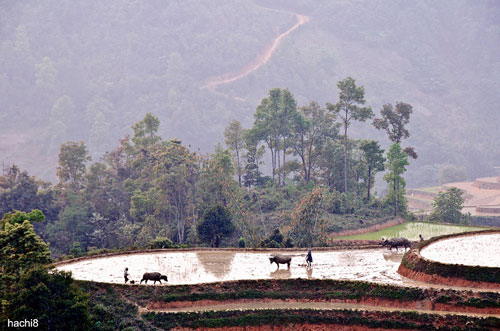 chinh-phuc-song-lung-khung-long-tren-dinh-ta-xua-1