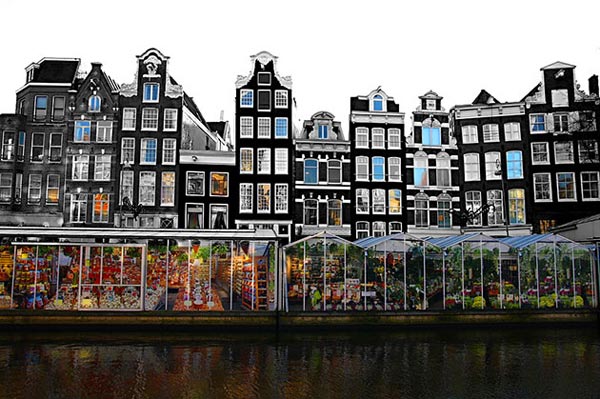 cho-hoa-noi-duy-nhat-tren-the-gioi-tai-amsterdam-1