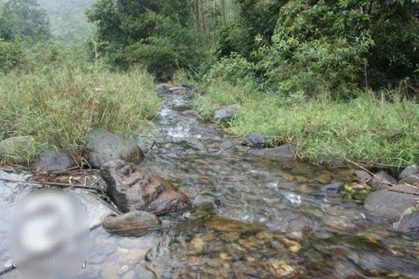 cung-di-picnic-o-vung-cao-thac-tien-ba-ho-10