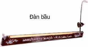 dan-bau-nhac-cu-doc-dao-cua-dan-toc-viet-nam-5