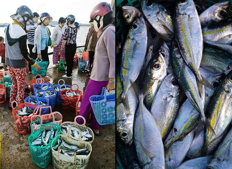 dao-phu-quy-hon-ngoc-hoang-so-10