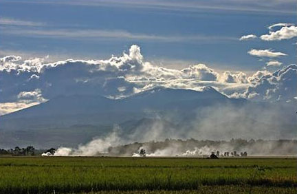 day-nui-kitanglad-vuon-di-san-cua-asean-3