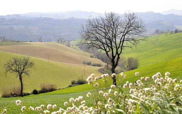 du-lich-thien-duong-am-thuc-marche-o-italy-17