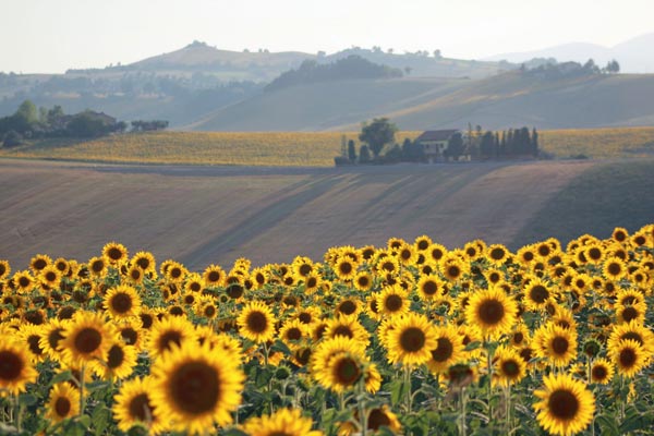 du-lich-thien-duong-am-thuc-marche-o-italy-5