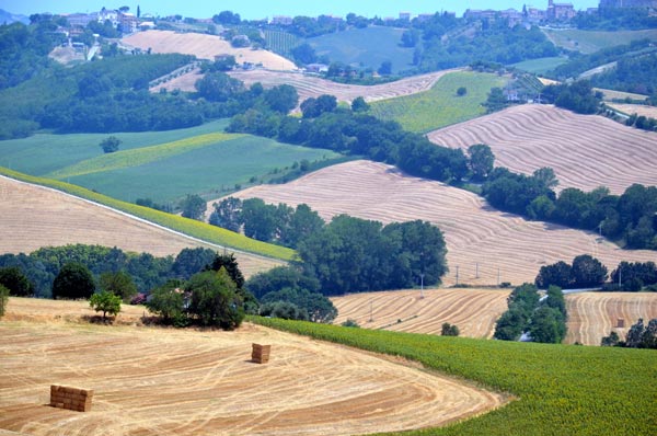 du-lich-thien-duong-am-thuc-marche-o-italy-8