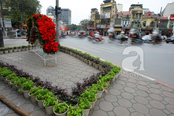 ha-noi-thanh-vuon-hoa-khong-lo-ngay-giap-tet-10