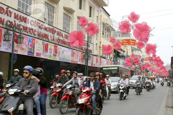 ha-noi-thanh-vuon-hoa-khong-lo-ngay-giap-tet-1