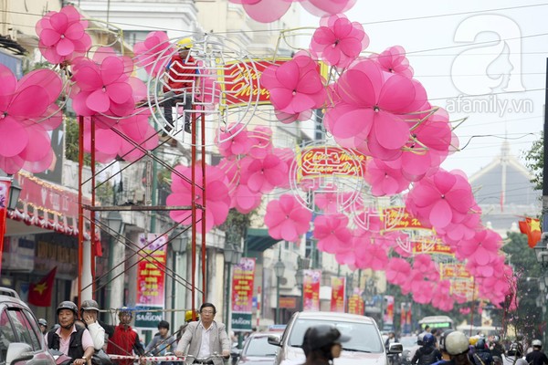 ha-noi-thanh-vuon-hoa-khong-lo-ngay-giap-tet-17