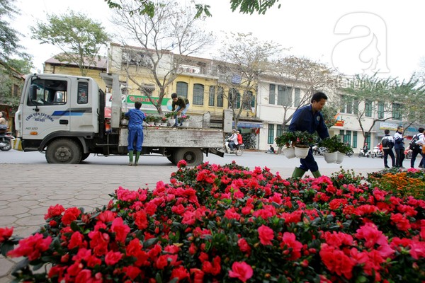 ha-noi-thanh-vuon-hoa-khong-lo-ngay-giap-tet-21