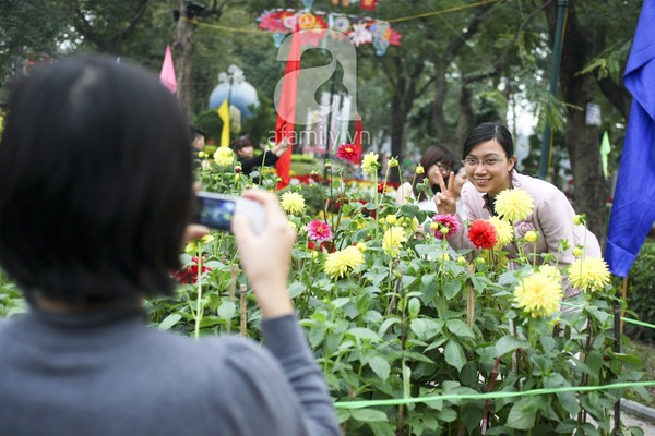 ha-noi-thanh-vuon-hoa-khong-lo-ngay-giap-tet-30