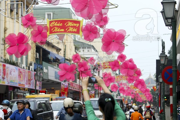 ha-noi-thanh-vuon-hoa-khong-lo-ngay-giap-tet-39