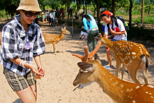 hanh-trinh-du-lich-cuon-hut-o-nha-trang-mua-bien-dong-4