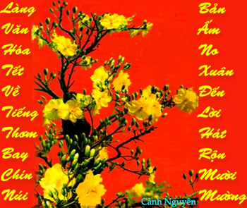 huong-dan-phong-tuc-tap-quan-trong-ngay-tet-co-truyen-cua-viet-nam-3