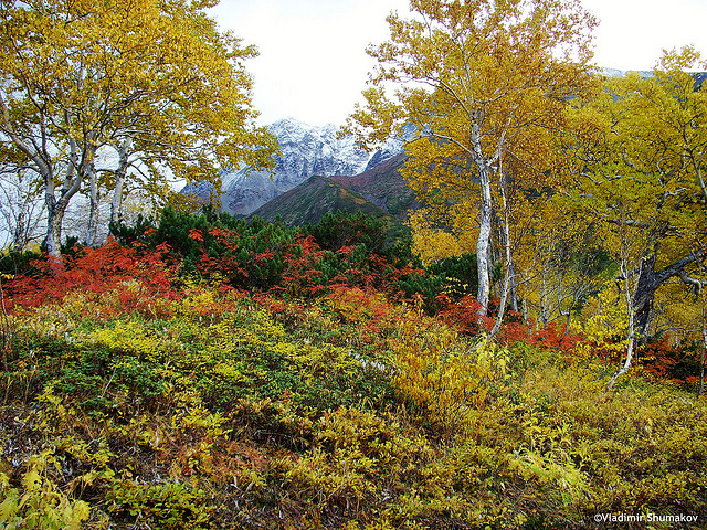 kamchatka-dep-va-day-thach-thuc-1