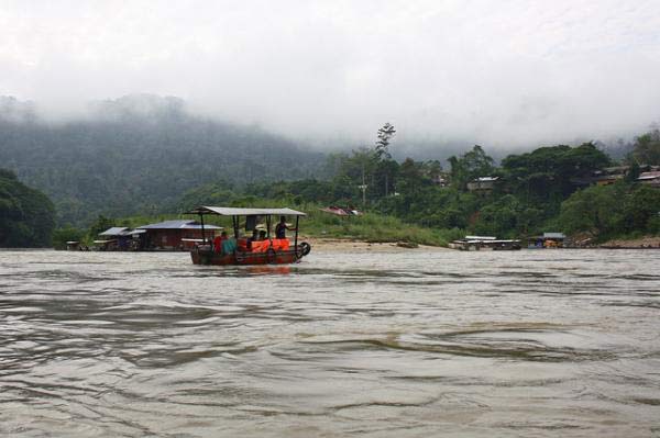 kham-pha-rung-nhiet-doi-lau-doi-nhat-trai-dat-14