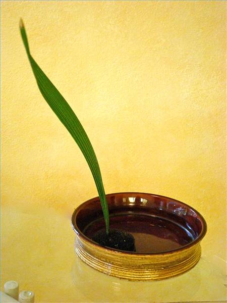 kheo-tay-trang-tri-binh-hoa-ikebana-thanh-nha-2