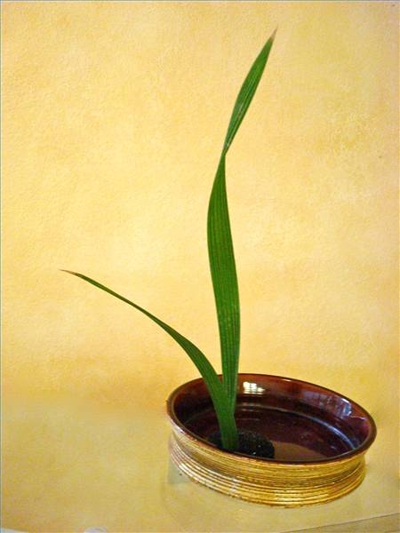 kheo-tay-trang-tri-binh-hoa-ikebana-thanh-nha-3