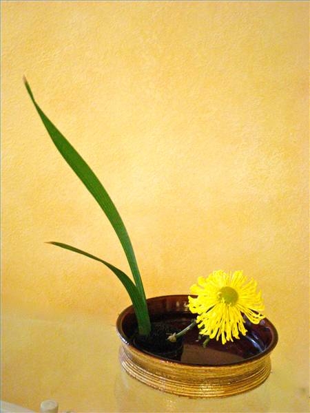 kheo-tay-trang-tri-binh-hoa-ikebana-thanh-nha-4