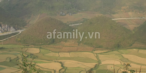 kinh-nghiem-di-du-lich-tet-o-ha-giang-10